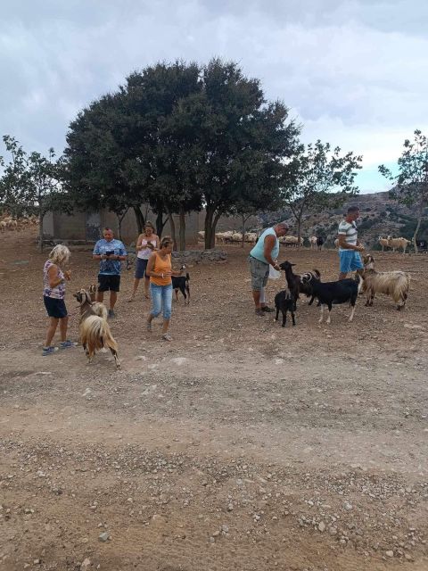 Crete: Milatos Cave Amazonas Zoo Park Jeep Safari Tour - Elounda lunch and swim: Mirabello Bay in full color