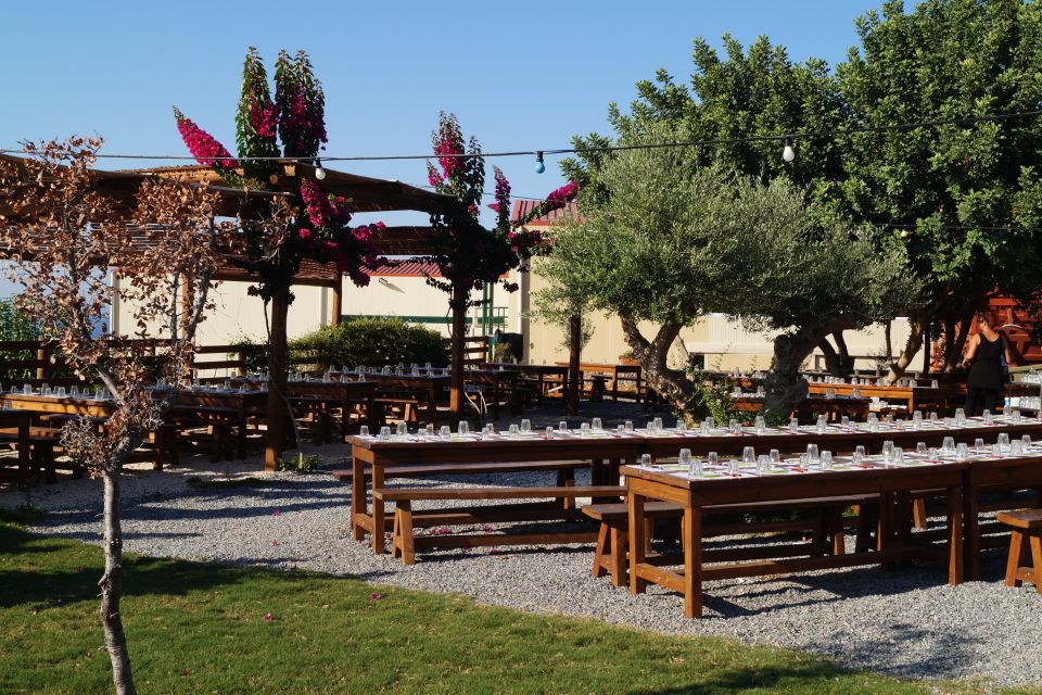 Crete: Olive Oil Factory Tour, Dinner & Traditional Dancing - What to bring, and who this fits best