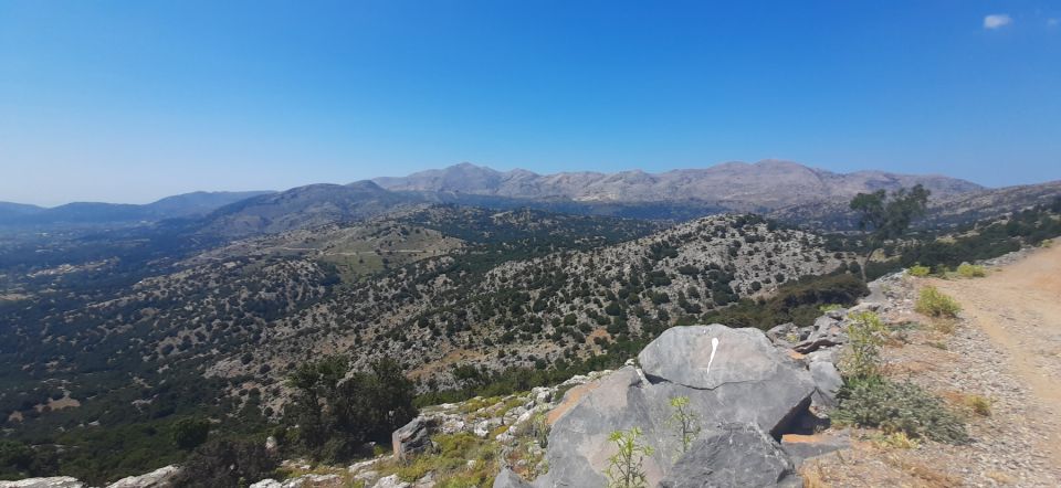 Crete: Olive, Wine, & Raki on a Flavorful Culinary Journey - Archanes visit and winery lunch: indigenous wine with a stomach-friendly finish