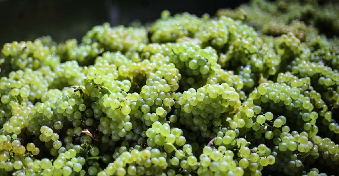 Crete: Olive, Wine, & Raki on a Flavorful Culinary Journey - Who should book this Crete olive, wine, and raki tour
