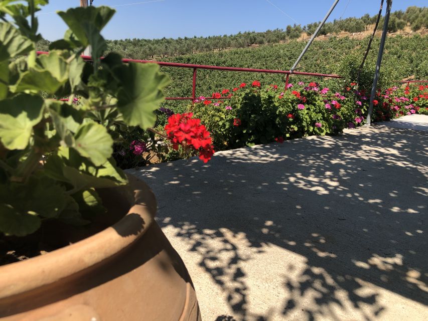 Crete Private Tour: The Secrets of Wine, Olives & Honey - The Route Starts in Rethimno and Uses a Private 4×4 Jeep