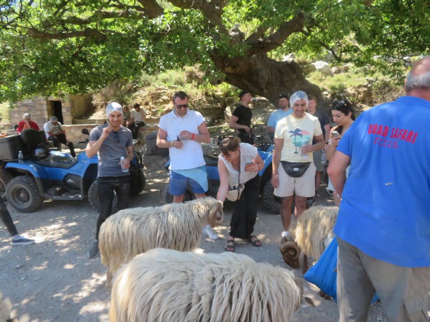 Crete Quad Safari Off-Road,Breathtaking Scenery&Amazing View - Price and Value: What $96 Buys You for 5 Hours