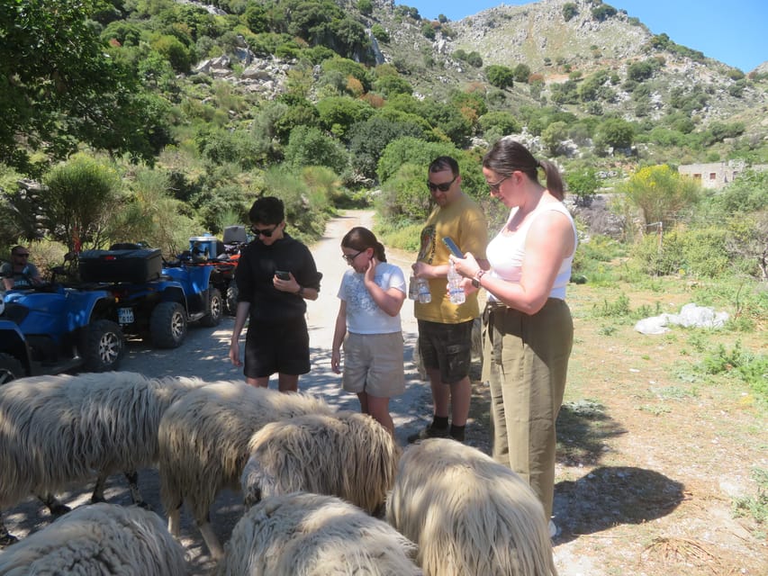 Crete Quad Safari Off-Road,Breathtaking Scenery&Amazing View - Vassilakis Estate Guided Tour and the Olive Oil Taste Tour