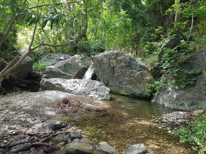 Crete: Richtis Waterfall Full-Day Tour with Olive Tasting - The gorge walk to Richtis Waterfall: what the trail is really like