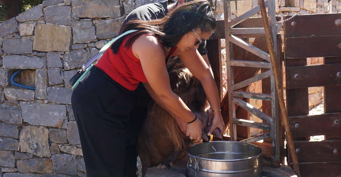 Crete: Shepherd’s Life & Psiloritis Mountain Tour with Meal - Psiloritis Mountain life: why this tour feels more real