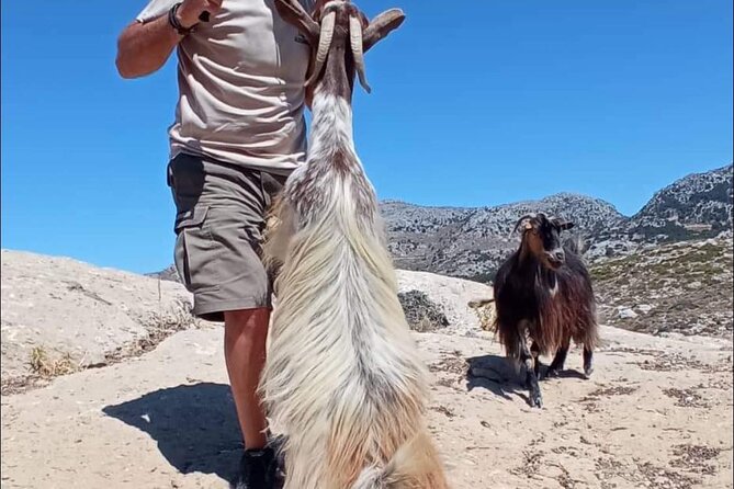 Crete: Tripitis Gorge South Crete Guided Jeep Safari - Loukia Lunch: Tavern Food, Local Wine, and a Proper Reset