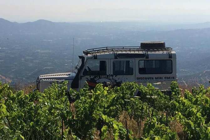 Crete White Mountains Safari Including Lunch - The morning drive: orange trees, avocados, and a coffee break that resets the pace