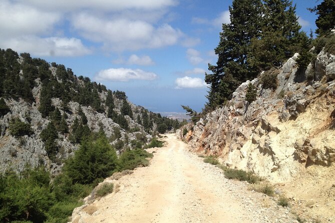 Crete White Mountains Safari Including Lunch - Up to Mitato at 1,350 meters: shepherd life, wildlife odds, and the view factor
