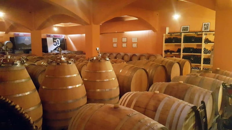 Discover Taste of Crete: Guided Winery Tour and Tastings - Practical tips for enjoying the tour (and not fighting it)