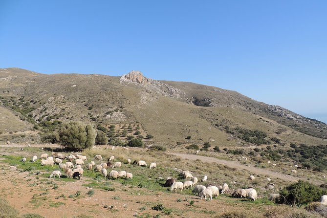 Discover The Secrets Of The Southern Crete Jeep Safari tour - Dimos Viannos village: raki tasting and church-and-street charm