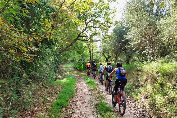 Eleftherna E-Bike and MTB Tour - Experience The Authentic Crete - Key highlights worth marking