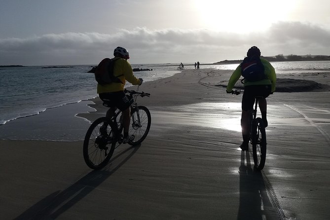 Eleftherna E-Bike and MTB Tour - Experience The Authentic Crete - Effort level and fitness: moderate means you’ll work, not suffer