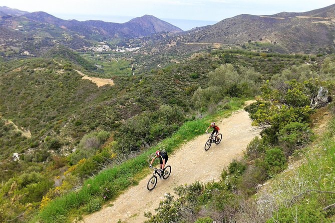 Eleftherna E-Bike and MTB Tour - Experience The Authentic Crete - Value check: why $90.51 can make sense for what you get