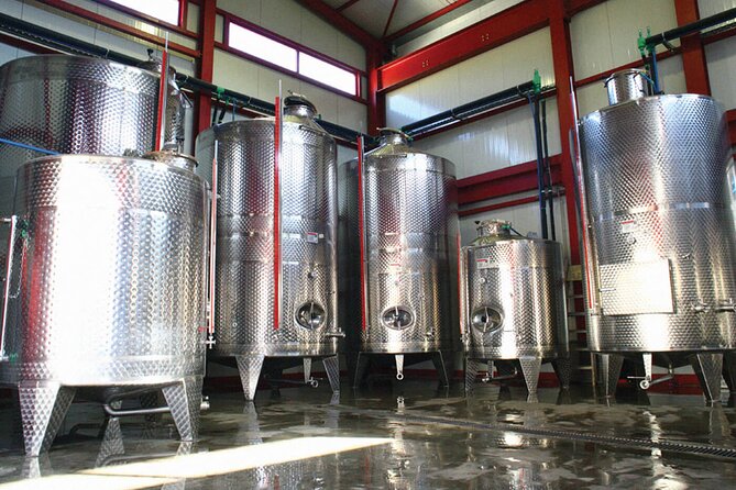 Explore the Secrets of Wine and Olives - Who should book this tour (and who should skip it)