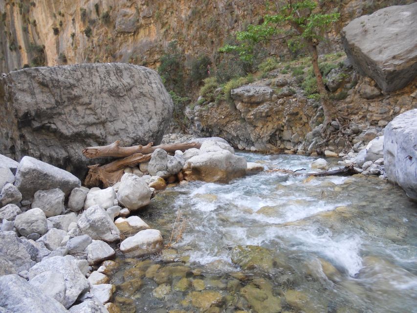 From Agia Galini/Matala: Samaria Gorge Hiking Tour - Key things to know before you go