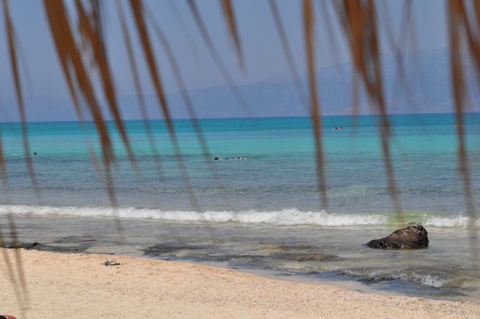 From Chania Area: Day Trip to Elafonisi Island by Bus - Key Points at a Glance