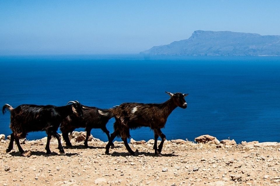 From Chania: Balos Lagoon & Falassarna Private 4WD Road Trip - Why the guide changes the day (even when the scenery is already good)