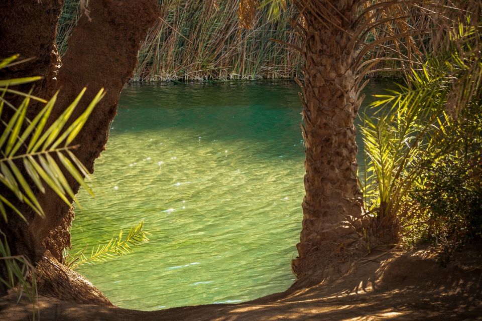 From Chania: Day Trip to Preveli Beach & Damnoni Beach - Kourtaliotiko Gorge: a drive-by with myth-and-history energy