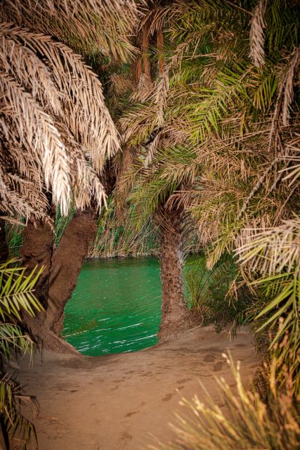 From Chania: Day Trip to Preveli Beach & Damnoni Beach - Ferry to Preveli: the sea crossing that sets the tone