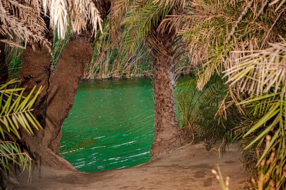 From Chania: Day Trip to Preveli Beach & Damnoni Beach - Preveli Palm Beach: palms, river, and that postcard meeting of land and sea