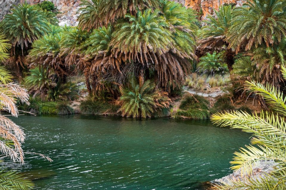 From Chania: Day Trip to Preveli Beach & Damnoni Beach - Making the most of your 2.5 hours at Preveli