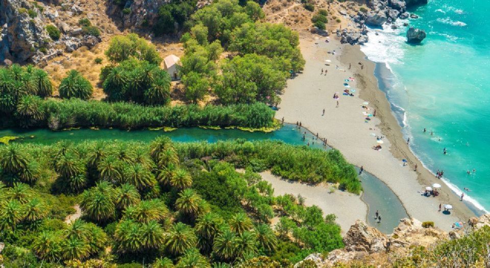 From Chania: Day Trip to Preveli Palm Beach - Preveli Palm Beach: palms, a river walk, and swimming