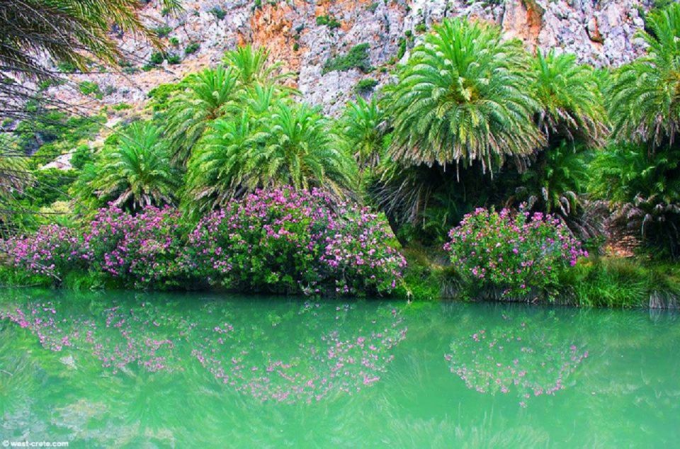 From Chania: Day Trip to Preveli Palm Beach - The return ride: re-seeing Crete in a shorter window