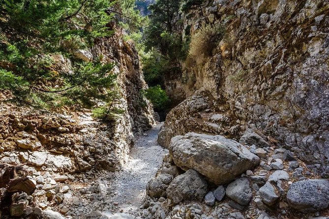 From Chania: Imbros Gorge and Sfakia Experience Hike & Swim - Entering Imbros Gorge: more than a pretty walk