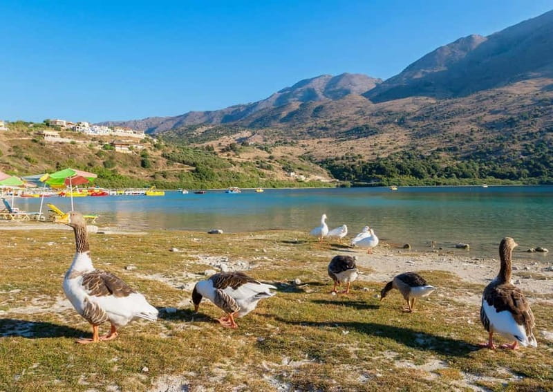 From Chania: Lake Kournas & Argiroupoli Springs Guided Tour - Why this Lake Kournas and Argiroupoli springs day trip works from Chania