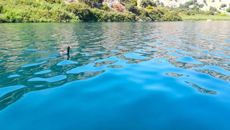 From Chania: Lake Kournas & Argiroupoli Springs Guided Tour - Stop 1: Lake Kournas swim time, pedal boat options, and café downtime