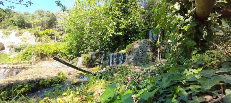 From Chania: Lake Kournas & Argiroupoli Springs Guided Tour - Value and comfort: what you get for your time (and why it’s not just a drive)