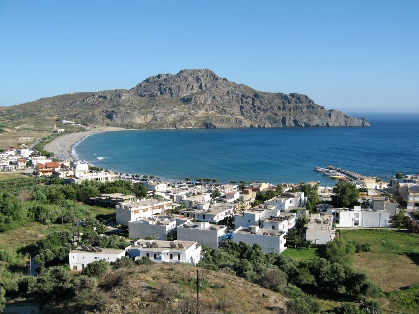 From Chania: Preveli Palm Beach Day Tour - Price and logistics: does $49 feel fair?