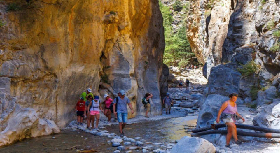 From Chania: Samariá Gorge Guided Hike - Wildlife moment: spotting the Kri-Kri in the real world