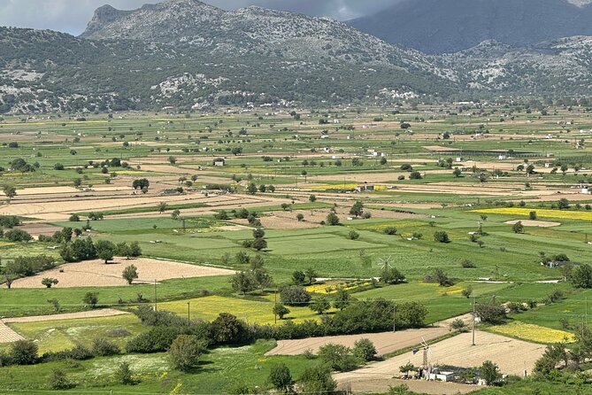 From Heraklion Private Day Tour Knossos-Lassithi Plateau - Who should book this tour