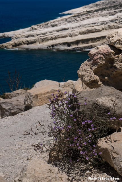 From Rethymno: Day trip to MATALA - AG.GALINI - SPILI - Matala’s Cliff Caves: Neolithic Origins and the Hippie Summer Legend