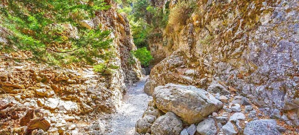 From Rethymno: Imbros Gorge & Libyan Guided Sea Tour - Entering Imbros Gorge: narrow turns, famous pinch points, and real Cretan rock