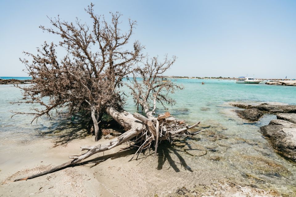 From Rethymno/Kavros: Elafonissi Pink Sand Beach Tour - The drive that makes the trip feel longer (and more fun)