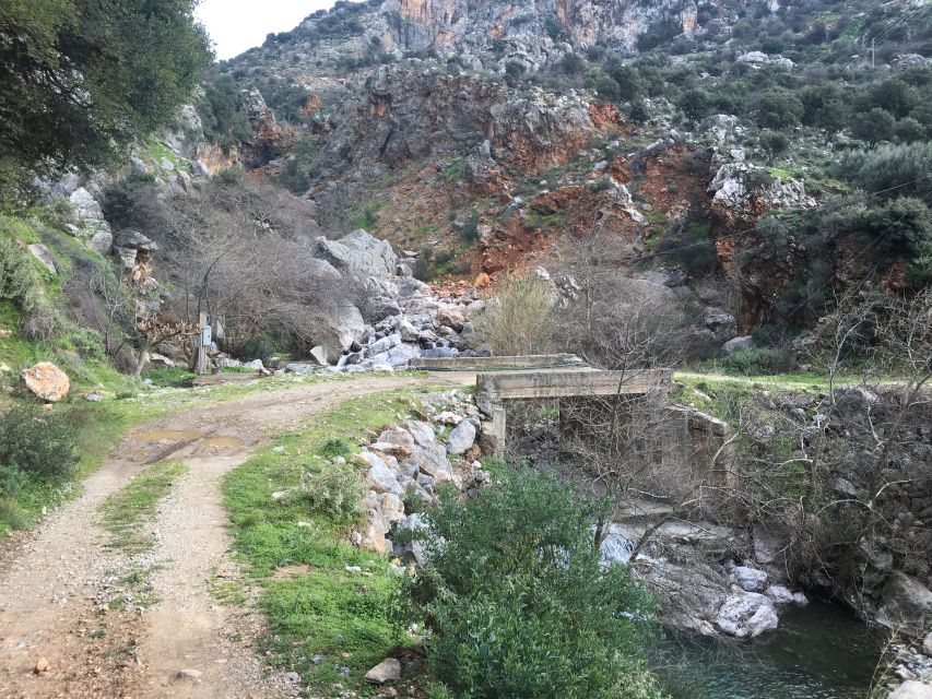 From Rethymno: Off-Road Vehicle Safari with Lunch - Melidoni olive oil mill: liquid gold, made visible
