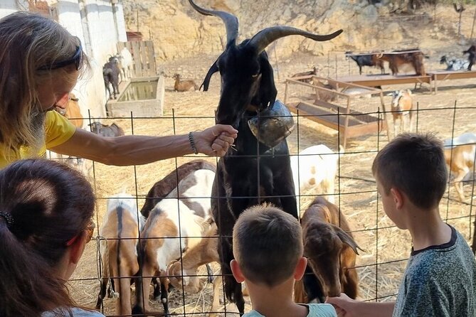 Full Day 4x4 Self-Drive Safari Tour in Crete with BBQ Lunch - BBQ lunch in Malia: included food, plus a practical note on drinks