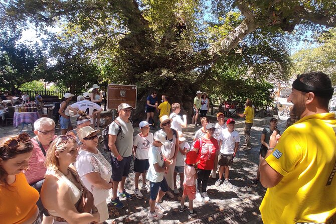 Full Day 4x4 Self-Drive Safari Tour in Crete with BBQ Lunch - Potamies shepherd farm: the hands-on Cretan moment