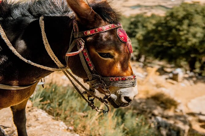 Full-Day/Half-Day Tour : Lasithi Plateau & Knossos Palace - Pottery Stops: Culture and Context, With a Time Trade-Off