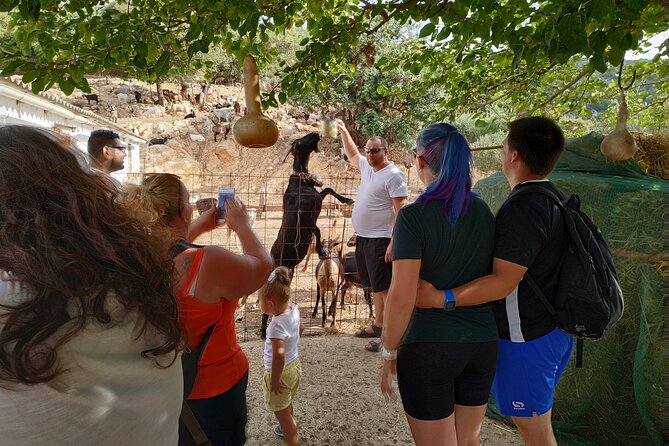 Full-Day Jeep Safari Tour with Cooking Lesson - Stop 4: Windmills of Lasithi Plateau and the White Sails Story