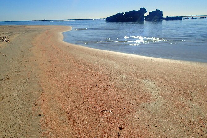 Full Day Private Minivan Tour to Elafonisi Beach and kedrodasos - Price and value: $301.26 per group up to 6 people