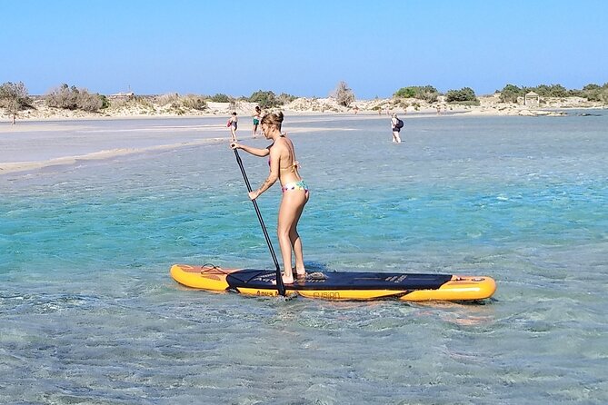 Full Day Private Minivan Tour to Elafonisi Beach and kedrodasos - Elafonisi beach time: coral-red sand, turquoise water, and snorkeling odds