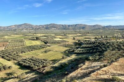 Full-Day Private Tour in Matala Caves and Ancient Gortyn in Crete - Pickup, timing, and the “relaxed but not slow” pace