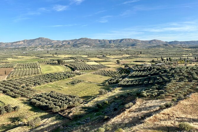Full-Day Private Tour in Matala Caves and Ancient Gortyn in Crete - Pickup, timing, and the “relaxed but not slow” pace