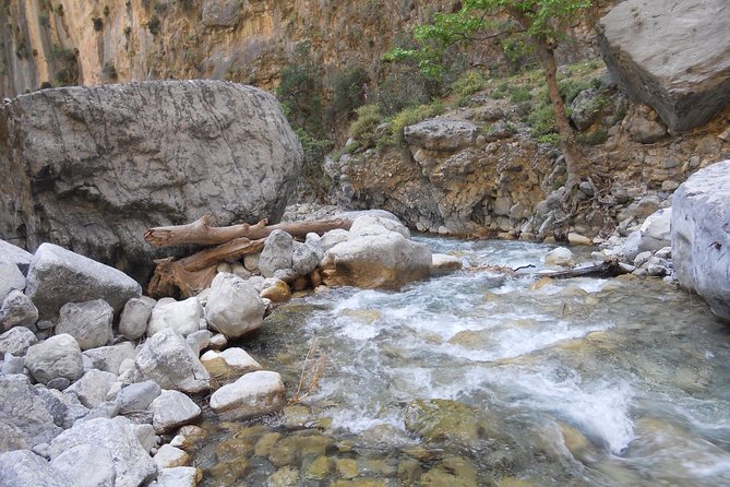 Full Day Samaria Gorge 10-Mile Walking Tour - En Route Stops: Toilets, Water, and the Reality of a Busy Trail