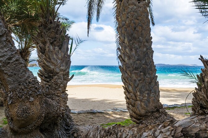 Full-Day Tour to Vai Palm Beach, Toplou Monastery, and Sitia Town - Vai Palm Beach: Your Long Free-Time Beach Break