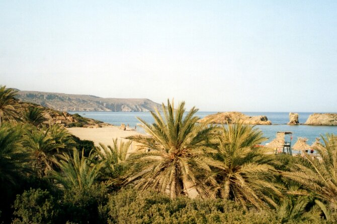 Full-Day Tour to Vai Palm Beach, Toplou Monastery, and Sitia Town - Group Size, Comfort, and the Practical Reality of an 11–12 Hour Day