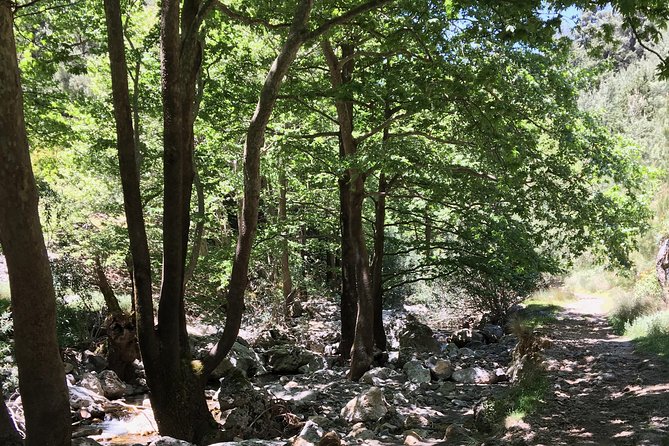 Fygou and Agia Irini Gorge Loop Half Day Hiking Tour - Getting there from Chania: pickup, mountain roads, and timing